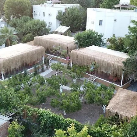 Pod5 * Bodrum